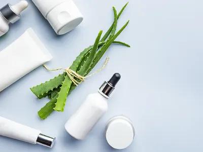 Auf einer hellen Fläche liegen verschiedene weiße Kosmetikverpackungen sowie ein Bündel frischer Aloe-Vera-Blätter. Die Anordnung deutet auf Hautpflege mit natürlichen Inhaltsstoffen hin.