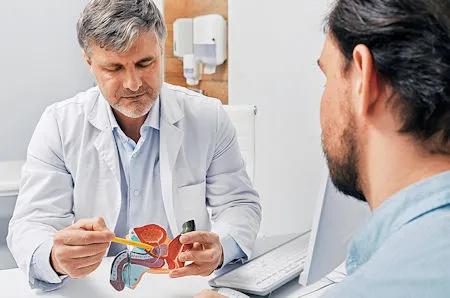 Urologe erkl&auml;rt einem m&auml;nnlichen Patienten das m&auml;nnliche Harnsystem anhand eines anatomischen Modells &ndash; medizinische Aufkl&auml;rung zu Blasen- oder Prostatabeschwerden.