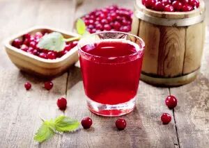 Glas mit leuchtend rotem Cranberrysaft auf rustikalem Holztisch, umgeben von frischen Beeren &ndash; nat&uuml;rliches Hausmittel zur Unterst&uuml;tzung der Blasengesundheit.