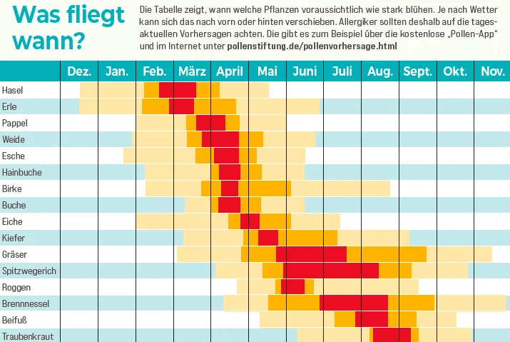 Tabelle mit farbcodierten Balken, die die Pollenflugzeiten von über 15 Pflanzenarten über die Monate Januar bis Dezember darstellen. Rottöne zeigen starke Belastung, Gelb mittlere, Blau schwache. Hinweis auf tagesaktuelle Vorhersagen per App oder Webseite.