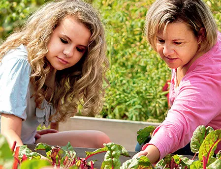 Zwei Frauen arbeiten gemeinsam im Garten und pflanzen frisches Gem&uuml;se in ein Hochbeet