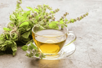 Eine Tasse mit hellgrünem Kräutertee steht auf einem Tisch, daneben liegen frische Kräuterzweige – Symbol für natürliche Verdauungshilfen.