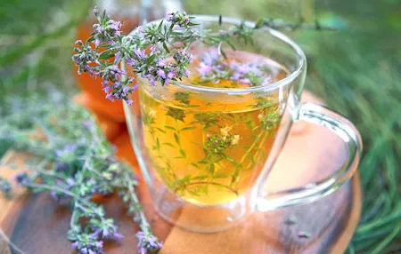Tasse Thymiantee mit frischen Blüten auf einem rustikalen Holztisch im Grünen